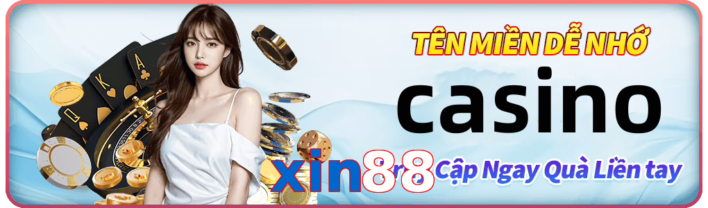 xin88