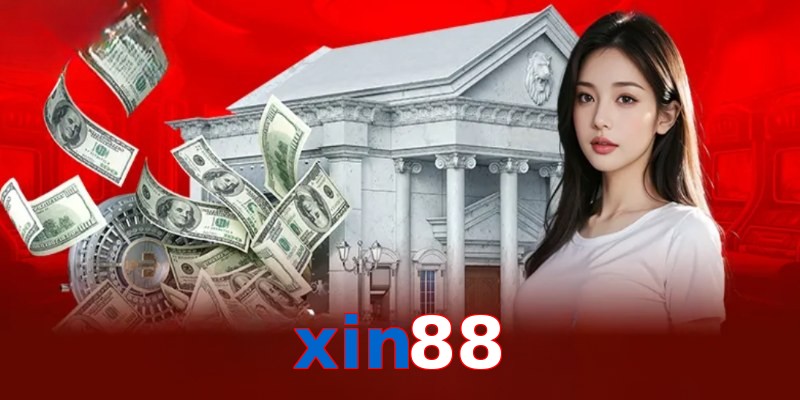 xin88
